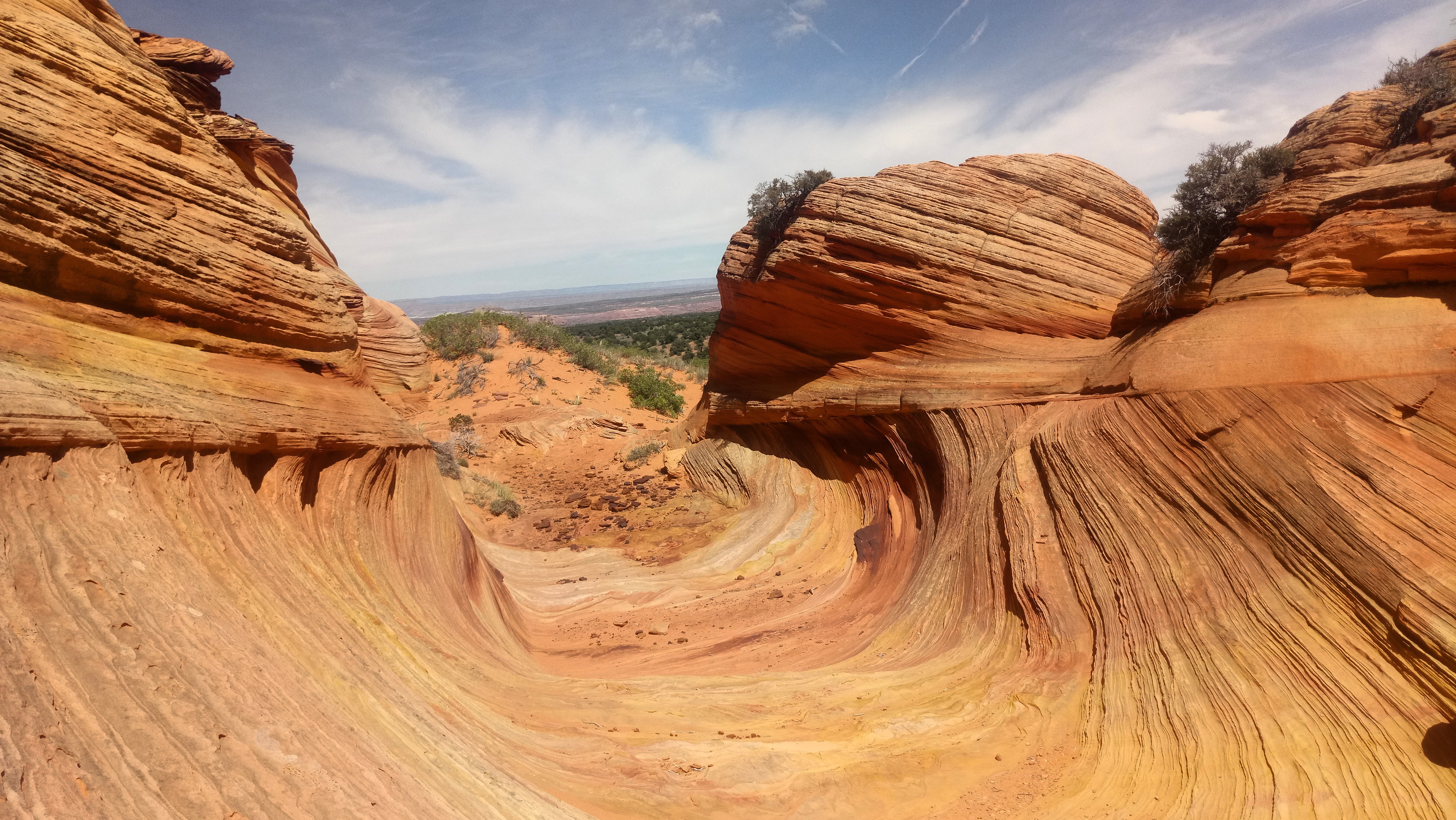 ウェイブのくじ引きと 摩訶不思議なコヨーテビュート サウス Investment Globetrotter 投資家から見た世界